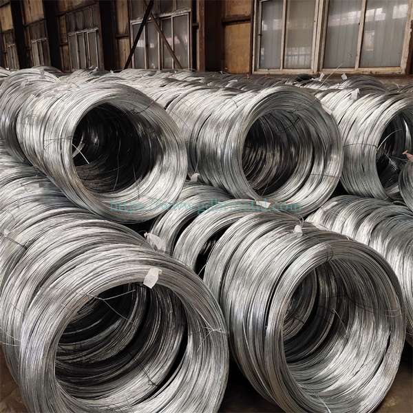 Stainless Steel Others